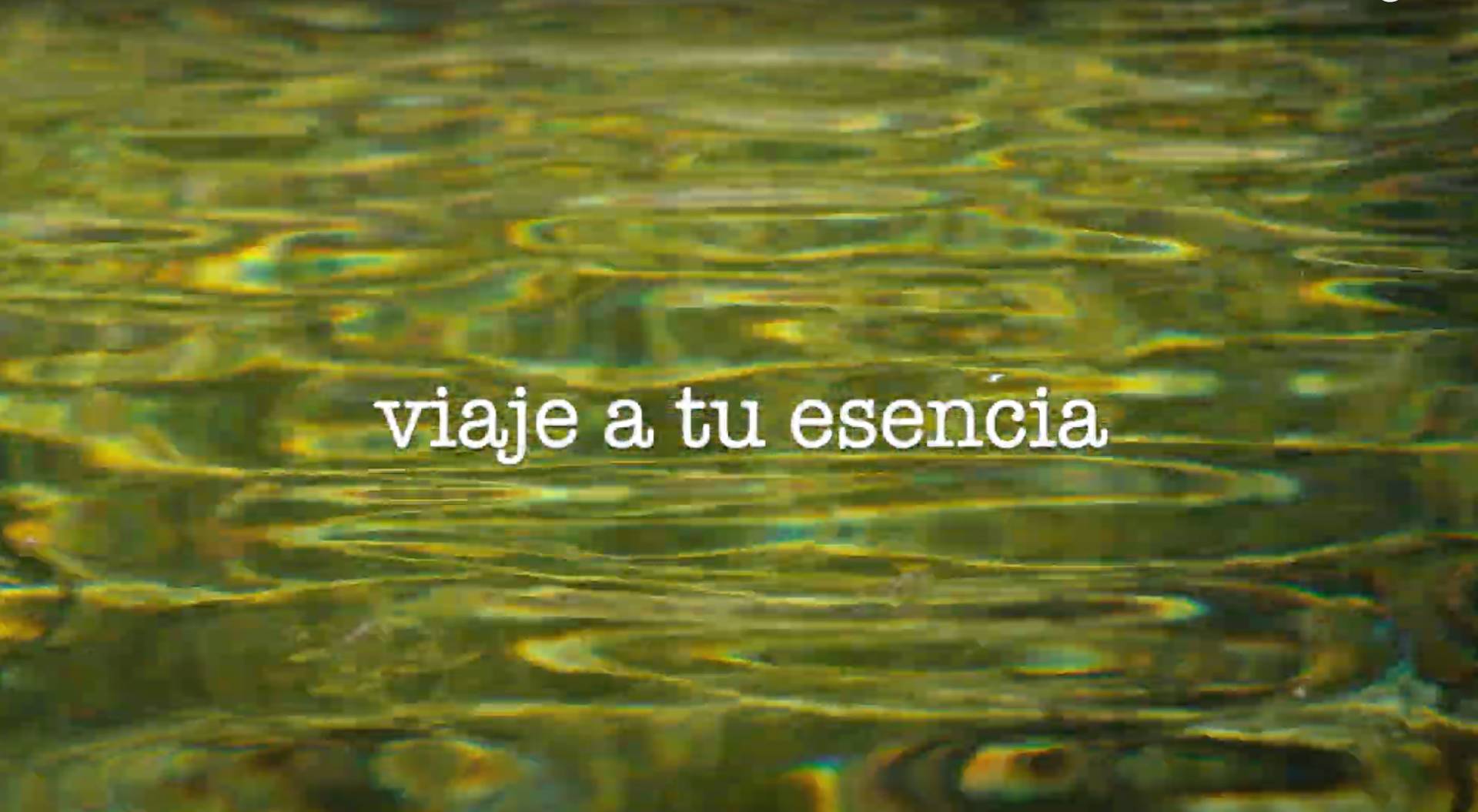 Play