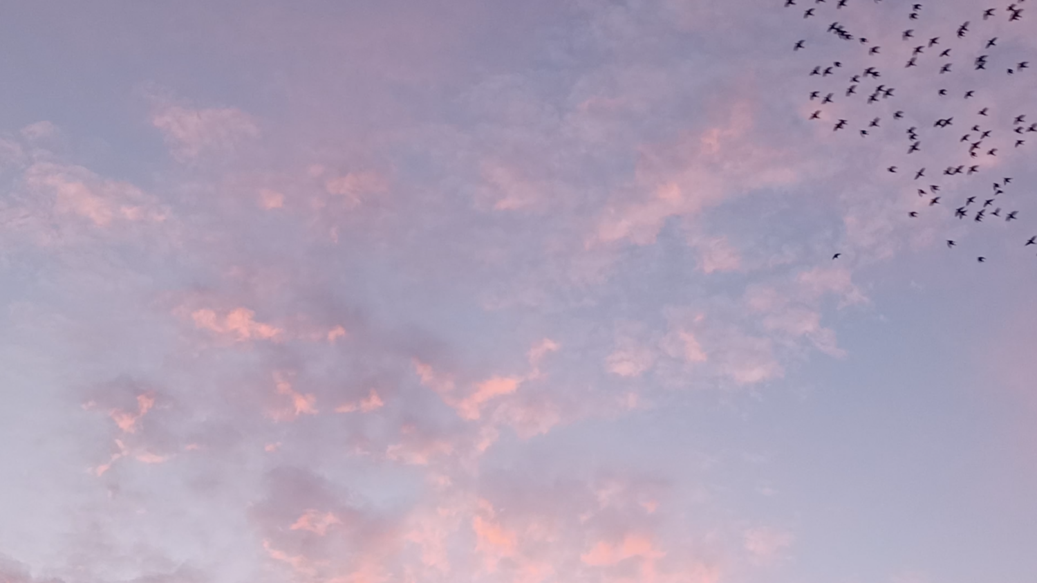 ODS2030 ajuntaments museus mediació cultural i social slow content