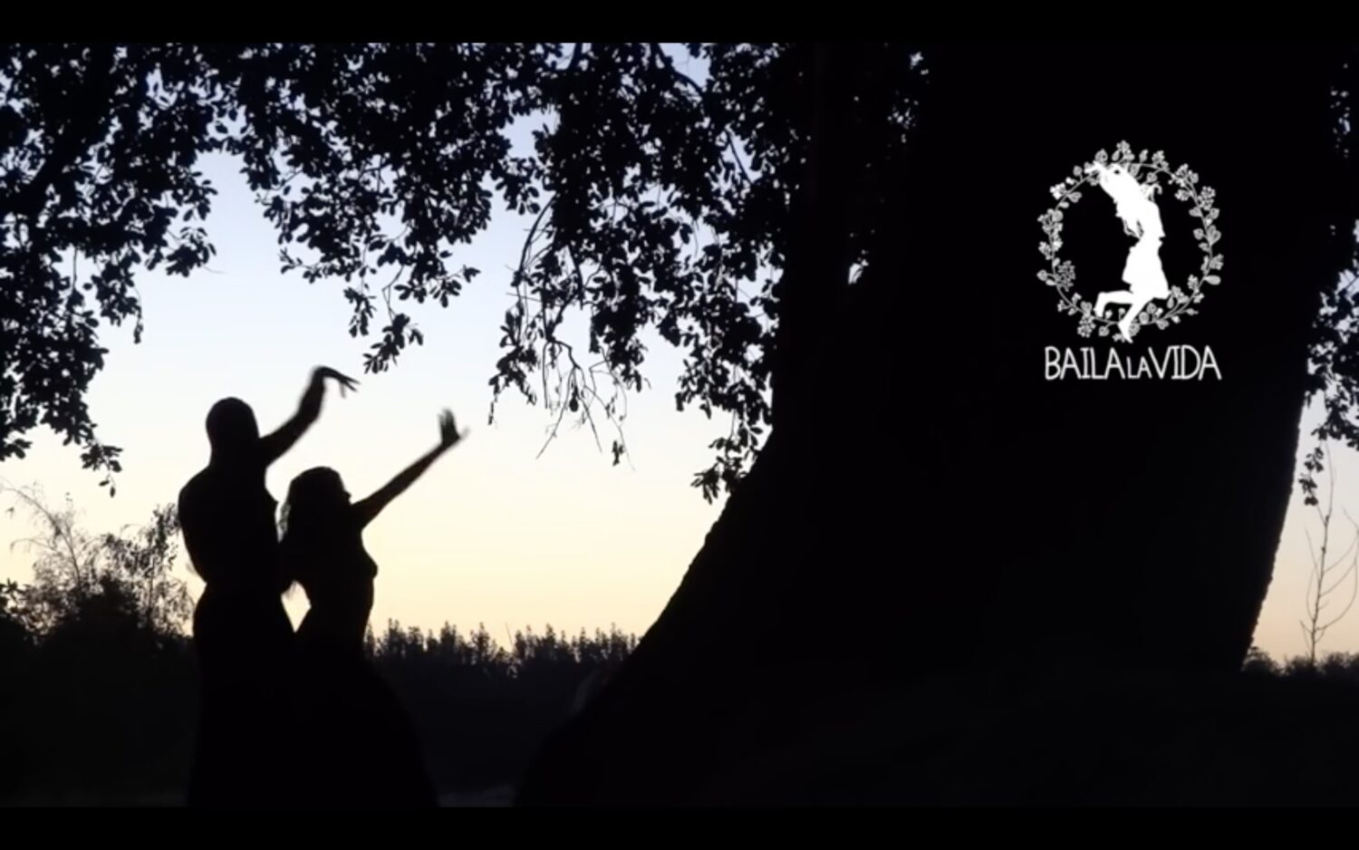Video poètic per promocionar sessions de dansa. La autora, Nagore Pardo, utilitza la natura i les sensacions corporals com a fil conductor del relat visual.