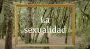 Contingut de valor: Sexualidad