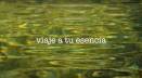 Promo retir: Viaje a la esencia